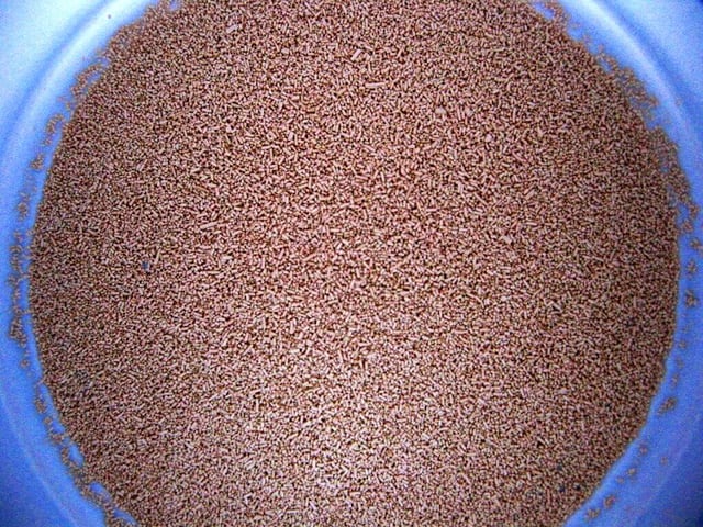 Active dried yeast, a granulated form in which yeast is commercially sold
