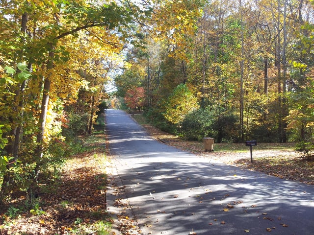 Fall in Kings Ridge Estate, Woodstock