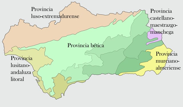 Floristic provinces of Andalusia