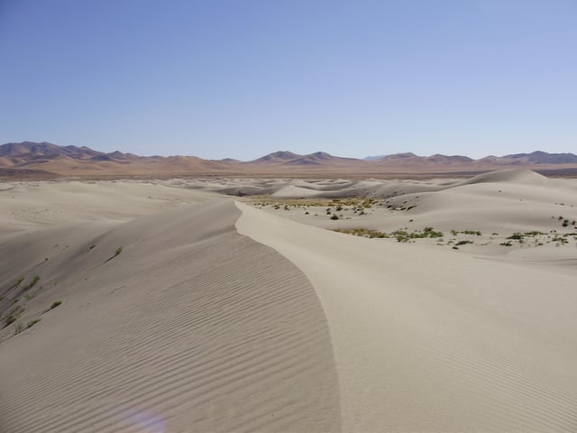 The Winnemucca Sand Dunes, north of Winnemucca