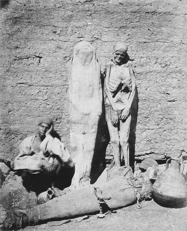 Egyptian mummy seller in 1875