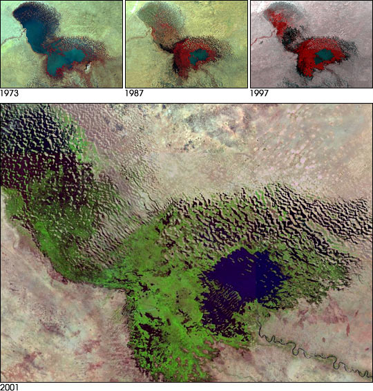 Lake Chad in a 2001 satellite image, with the actual lake in blue, and vegetation on top of the old lake bed in green