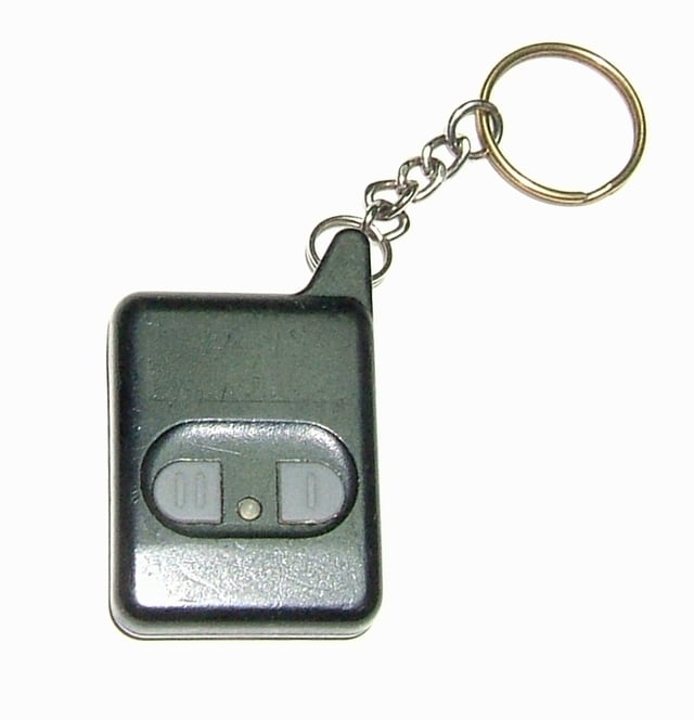 Remote keyless entry fob for a car