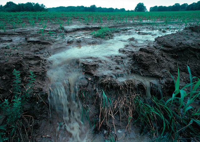 Runoff of soil and fertilizer during a rain storm