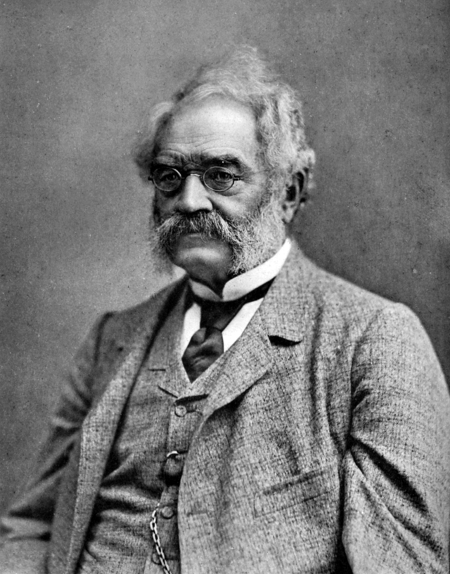 Werner von Siemens, co-founder of Siemens & Halske.