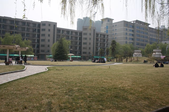 School of Management