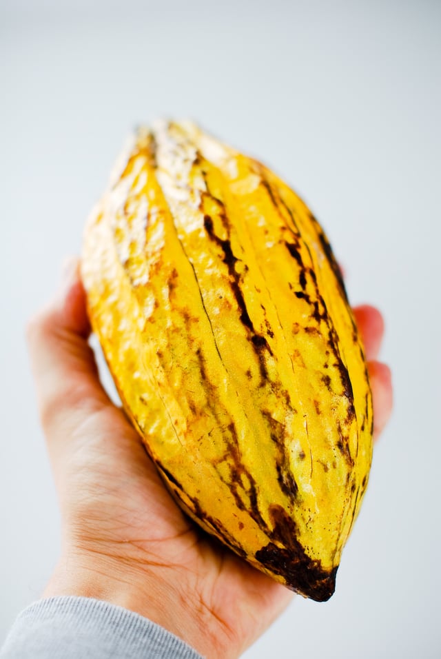 Cocoa in São Tomé