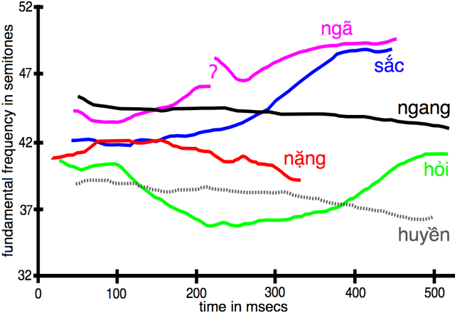 Pitch contours and duration of the six Northern Vietnamese tones as spoken by a male speaker (not from Hanoi). Fundamental frequency is plotted over time. From Nguyễn & Edmondson (1998).