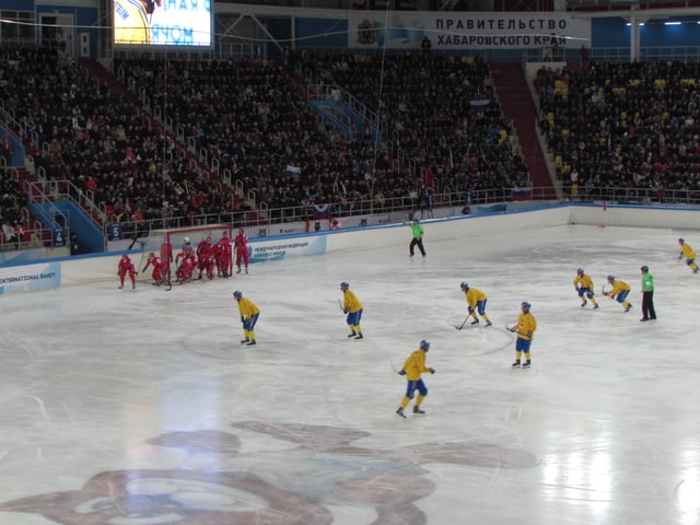 A corner during the final of the 2015 Bandy World Championship