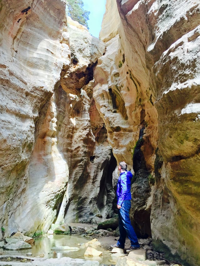 Avakas Gorge in Akamas