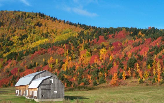 Autumn landscape of Haute-Gaspésie