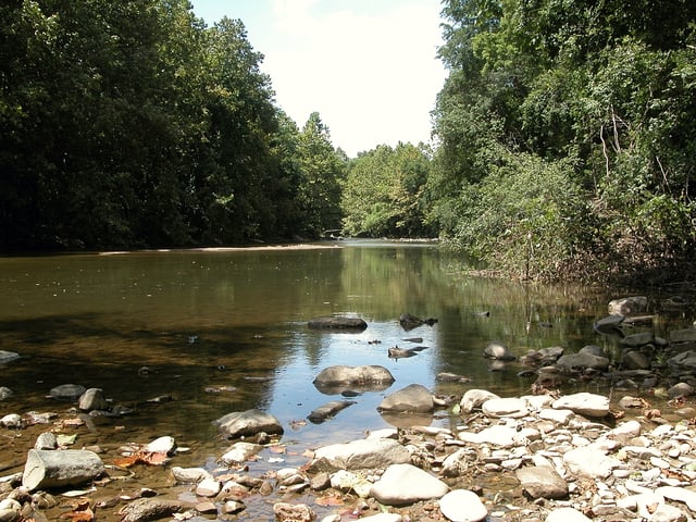 Typical freshwater river above the tidal zone.