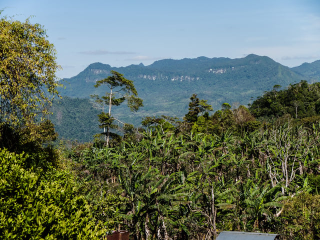 Peñas Blancas, part of the Bosawás Biosphere Reserve is the second largest rainforest in the Western Hemisphere, after the Amazonian Rainforest in Brazil. Located northeast of the city of Jinotega in Northeastern Nicaragua.