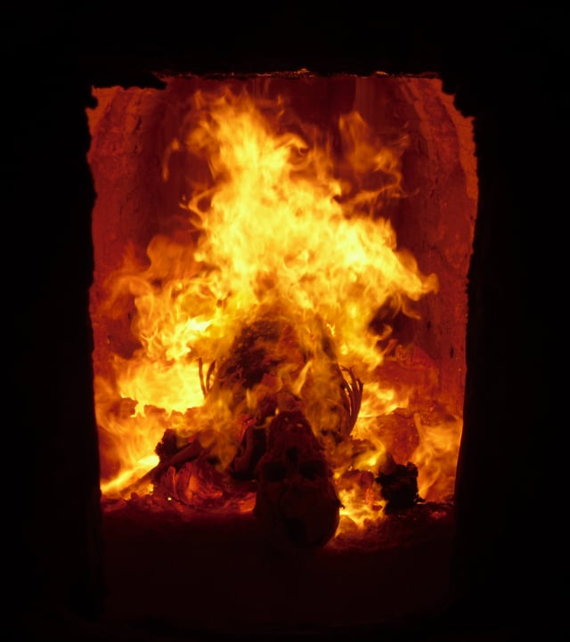 Cremation of a human corpse inside an electric cremator