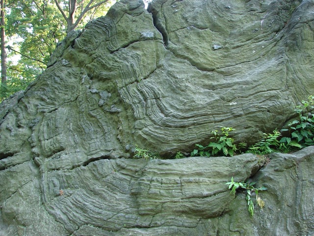 Manhattan schist outcropping in Central Park