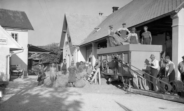 Slovene farmers threshing wheat (1930s)