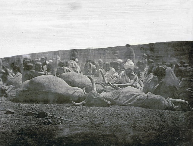 Photograph (1871–2) of a Toda green funeral.