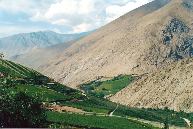 Elqui Valley, wine and pisco region