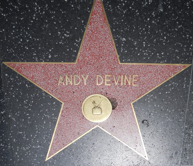 Devine's star on the Hollywood Walk of Fame, 6366 Hollywood Blvd.