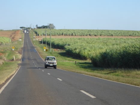 Sugar cane fields south of Childers. Queensland's climate is ideal for growing the crop.