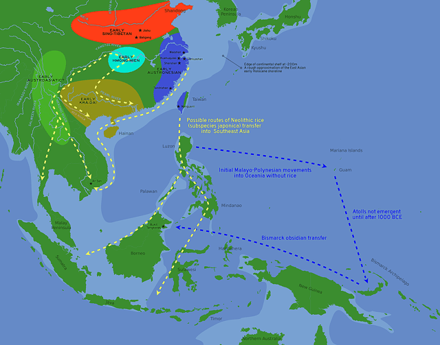 Likely routes of early rice transfer, and possible language family homelands (ca. 3500 to 500 BC). The approximate coastlines during the early Holocene are shown in lighter blue. (Bellwood, 2011)