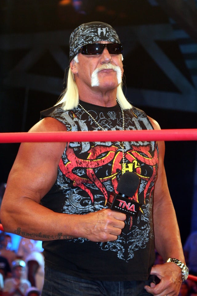 Hogan in July 2010