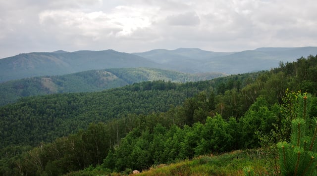 Wooded Ural Mountains