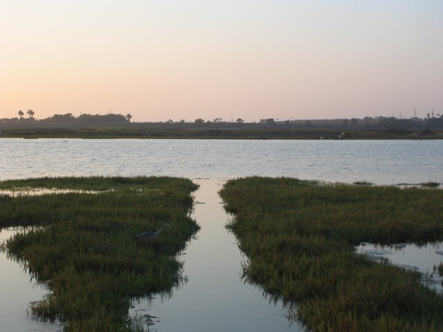 Bolsa Chica Wildlife Refuge