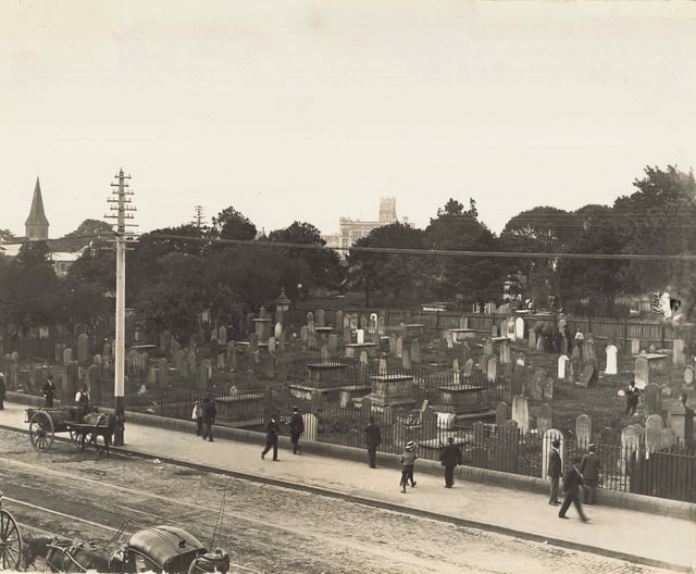View of the Devonshire Street Cemetery: the top of the Anthony Hordern & Sons department store can be seen in the far distance.