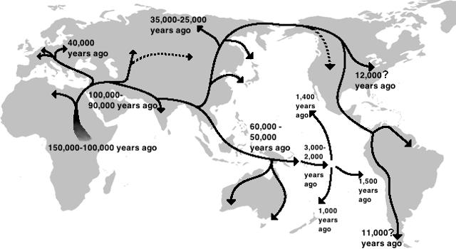 Map of early human migrations out of Africa from Naruya (2002)