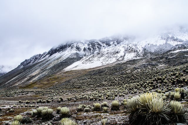 Typical landscape in the Venezuelan Andes.