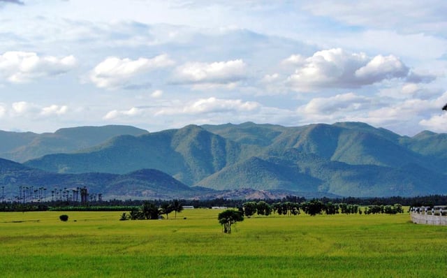 Western Ghats traverse along the western border of Tamil Nadu