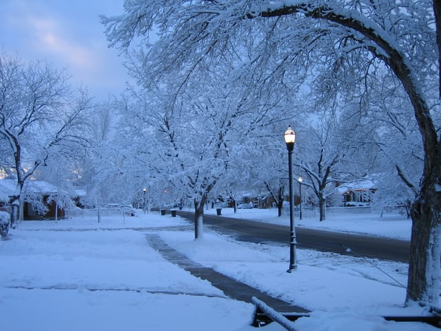 Snow in Rose Park, Salt Lake City