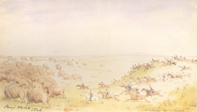 Paul Kane witnessed and participated in the annual bison hunt of the Métis in June 1846 on the prairies in Dakota.