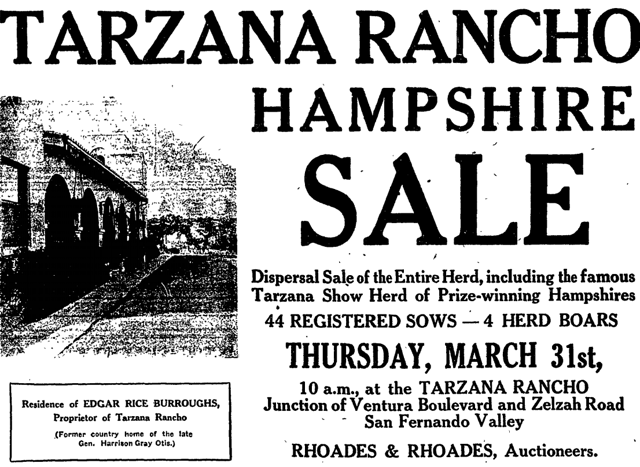 Newspaper advertisement for sale of hogs, 1921
