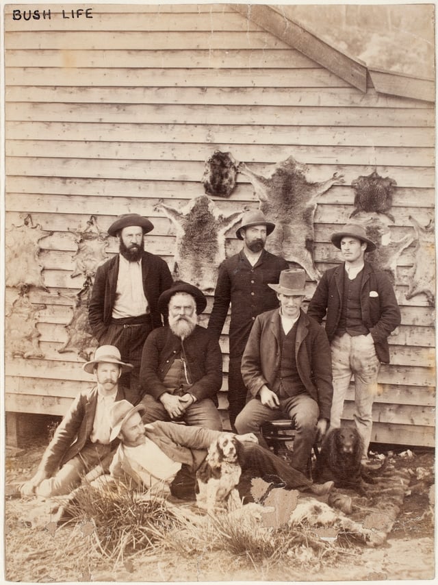 Bushmen photographed with their dogs in front of a wall of animal skins (including koala pelts), between 1870 and 1900