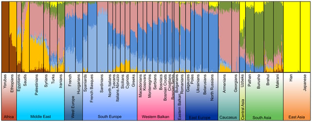 Admixture analysis of autosomal SNPs of the Balkan region in a global context on the resolution level of 7 assumed ancestral populations: African (brown), South/West European (light blue), Asian (yellow), Middle Eastern (green), North/East European (dark blue) and Caucasian/Anatolian component (beige).