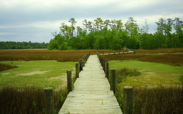 Boardwalk at Palmetto Islands County Park