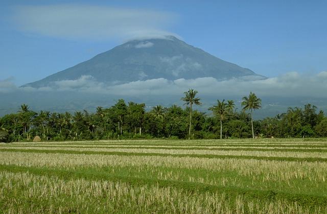 Mount Sumbing surrounded by rice fields. Java's volcanic topography and rich agricultural lands are the fundamental factors in its history.