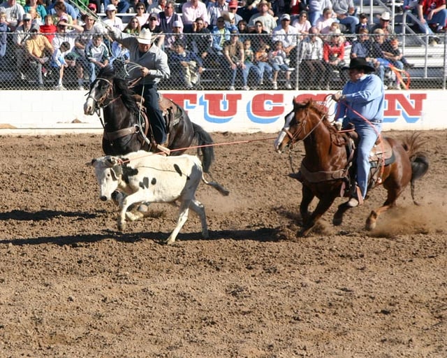 Team roping competition at Tucson's Fiesta de los Vaqueros