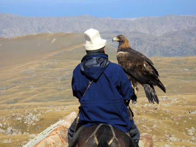 Hunting with an eagle