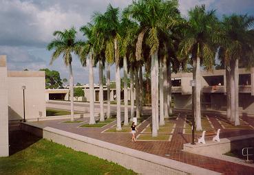 Palm Courts at the New College of Florida.