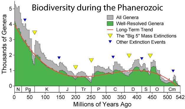 Apparent marine fossil diversity during the Phanerozoic