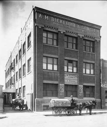 A.M. Bickford & Sons Ltd, Laboratories & Works, Waymouth Street, 1916