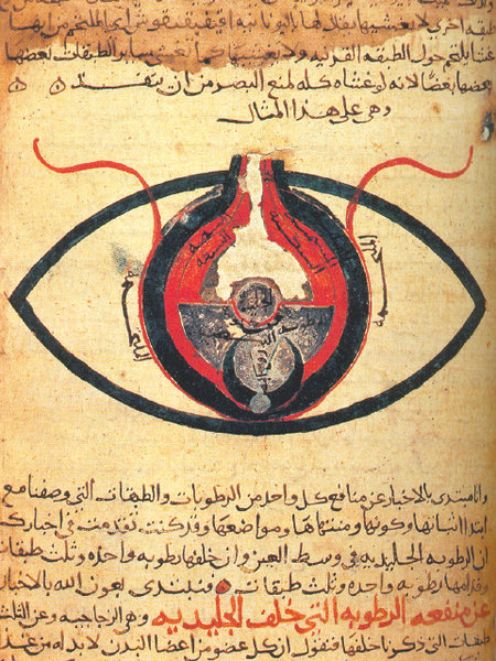 The eye, according to Hunain ibn Ishaq from a manuscript dated circa 1200