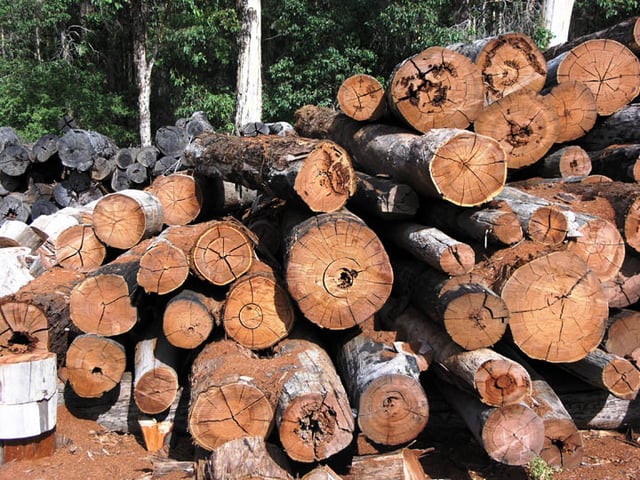 Timber in storage for later processing at a sawmill