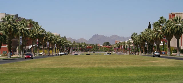 The University of Arizona (the Mall) in Tucson