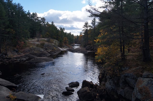 Typical landscape of the Canadian Shield at Queen Elizabeth II Wildlands Provincial Park, located in Central Ontario