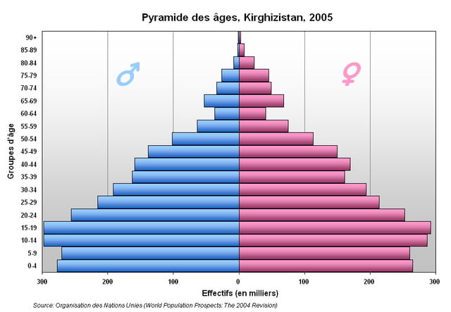 A population pyramid showing Kyrgyzstan's age distribution (2005).