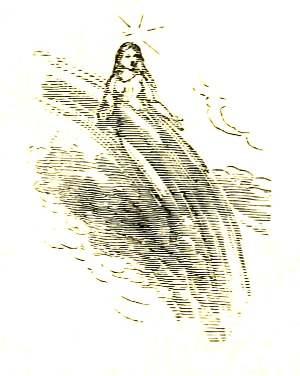 1896 illustration of a fairy from Ernest Vincent Wright's The Wonderful Fairies of the Sun